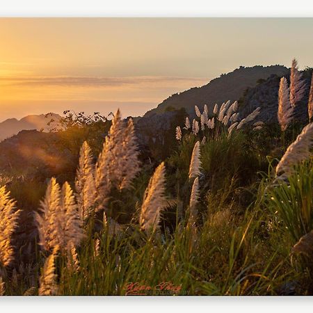 Cat Ba Island Garden Homestay - Papillon Luaran gambar