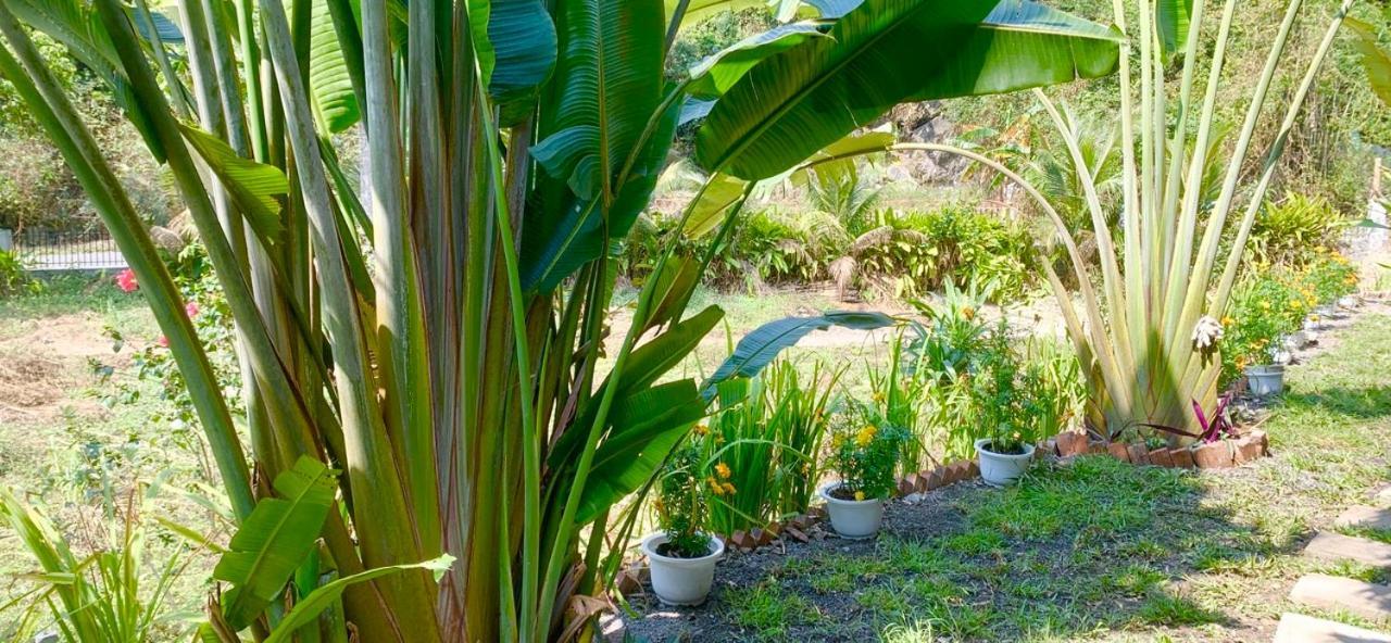 Cat Ba Island Garden Homestay - Papillon Luaran gambar