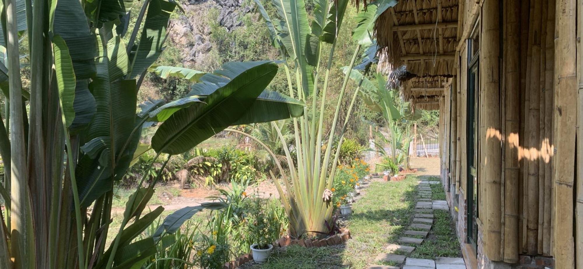 Cat Ba Island Garden Homestay - Papillon Luaran gambar