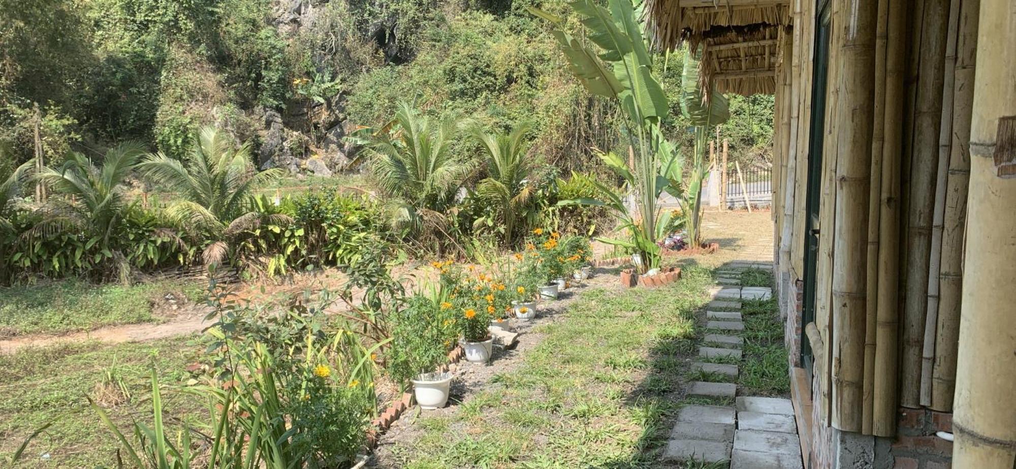 Cat Ba Island Garden Homestay - Papillon Luaran gambar