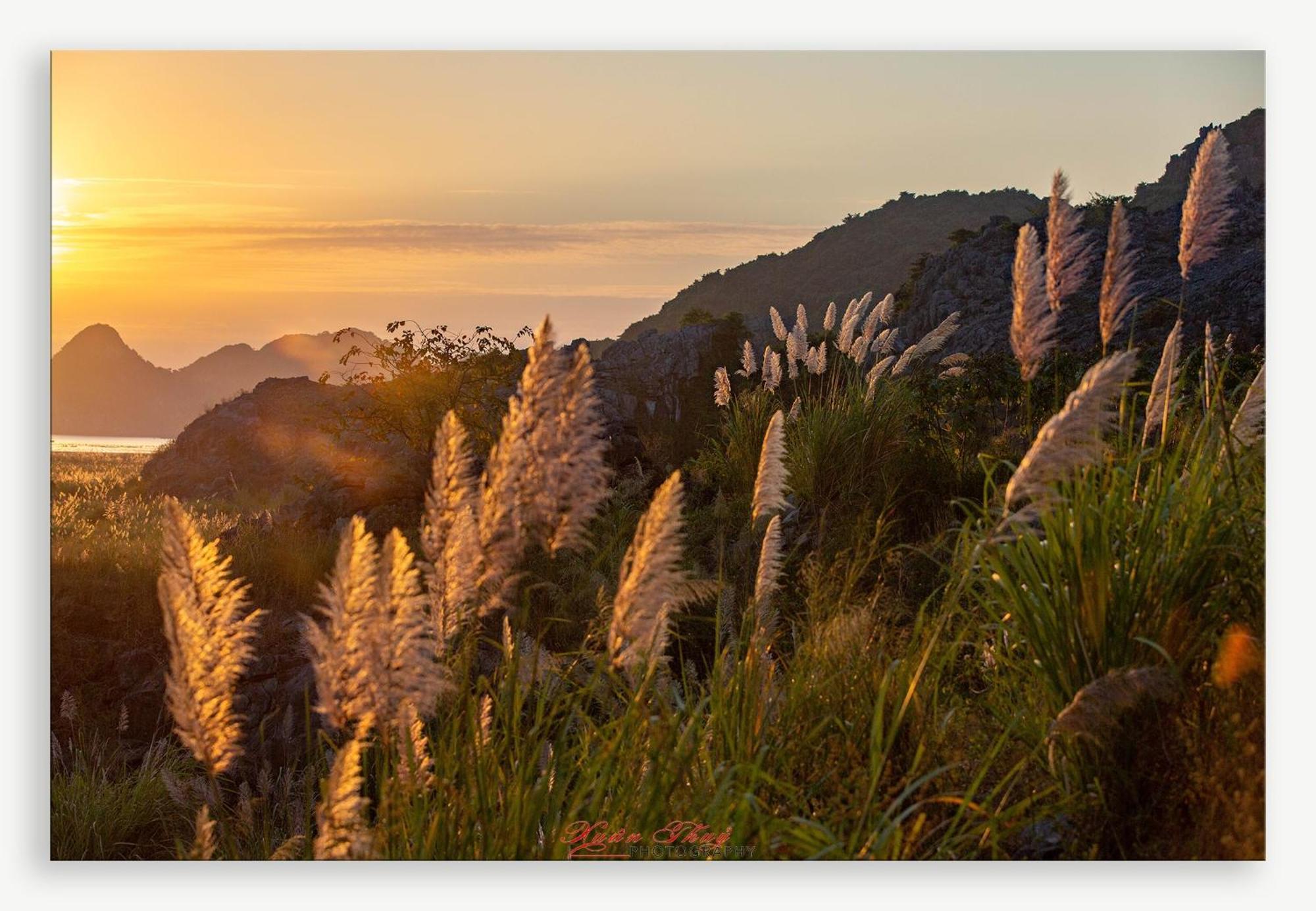 Cat Ba Island Garden Homestay - Papillon Luaran gambar